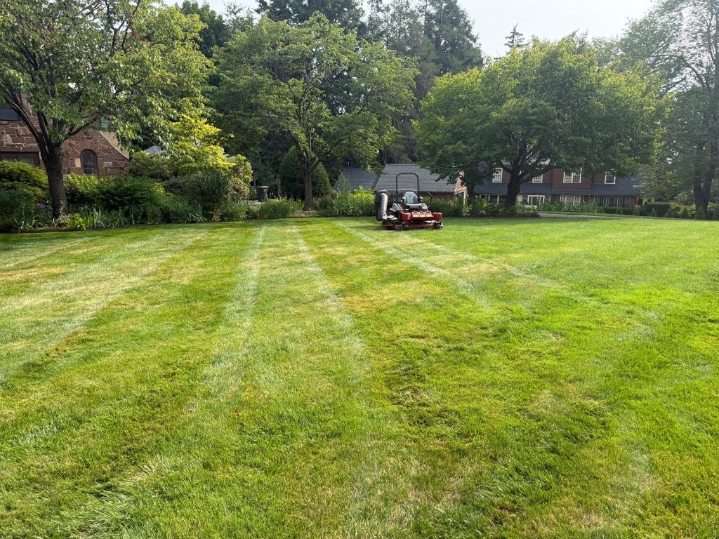 Green Line LLC lawn maintenance in Hartford County